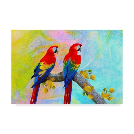 Ata Alishahi 'Parrots 87A' Canvas Art,22x32